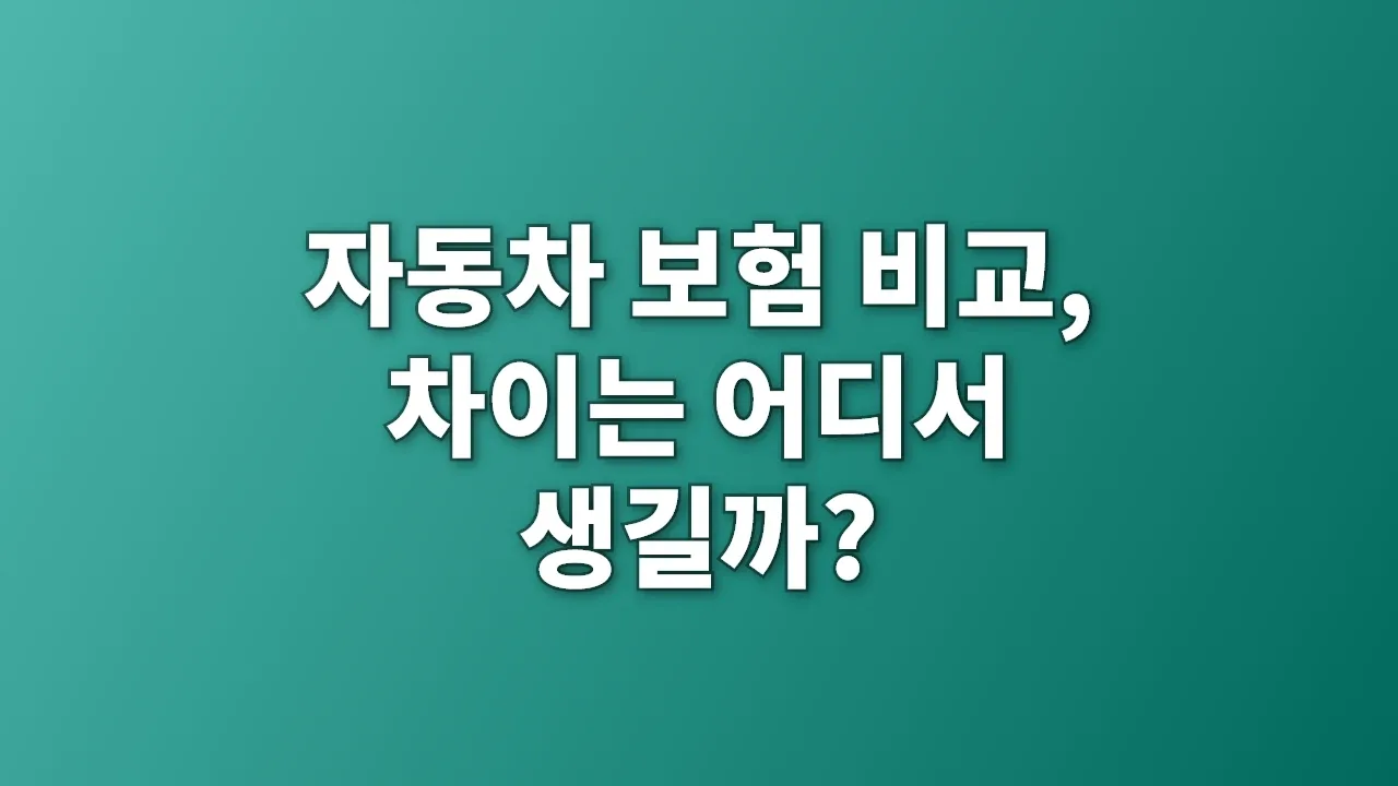 자동차 보험 비교, 차이는 어디서 생길까?